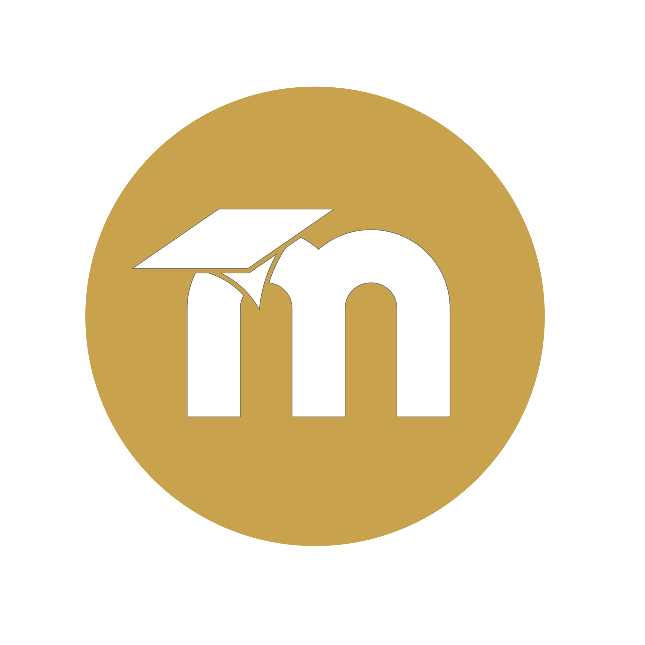 Online Learning with Moodle